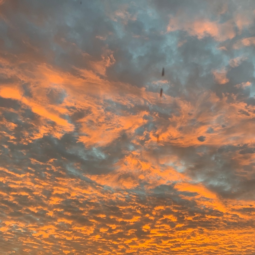 Meet your Posher, Claudia